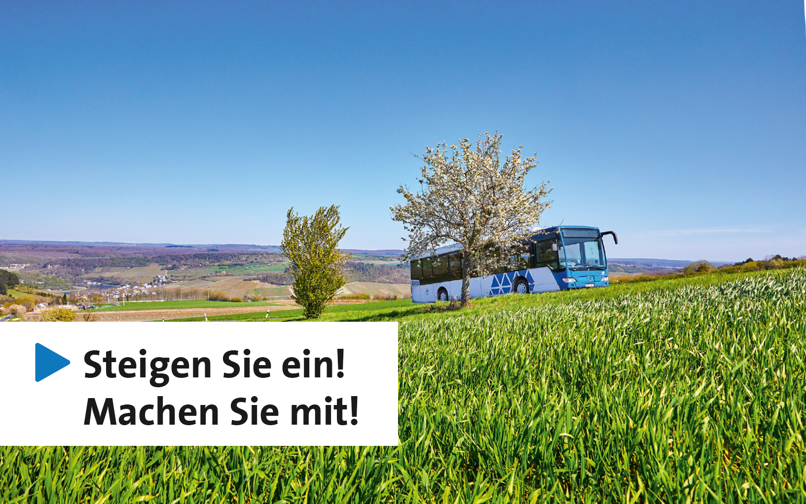 Mobilitätsbefragung