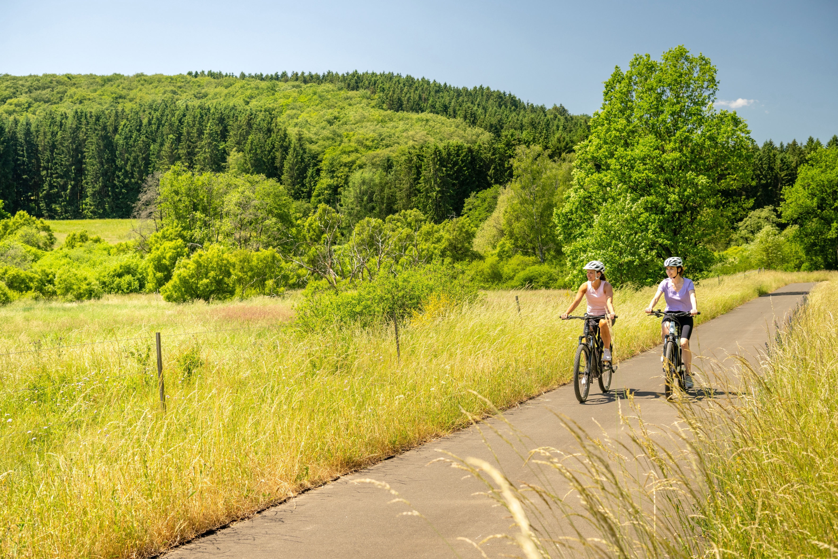 Naturbild mit zwei Radfahrern auf Radweg