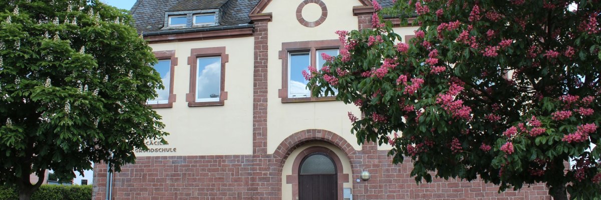 Ansicht Grundschule Preist